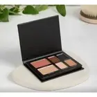 NEW SEALED Doucce On The Go Eyeshadow, Blush, & Highlighter Palette