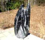 Black Fossil Orthoceras Lrg Sculpture in Matrix-6 lb 7 ounce-9 1/2 inches tall