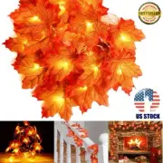 Fall Thanksgiving Decorations LED Maple Leaf String Lights Battery Autumn Decor