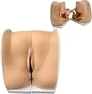Female Gynecological Manikin Model - Contraceptive Guidance Model, Life Size Female Genitals Anatomy Model, Accurate Structure Suitable for Teaching and Presentation