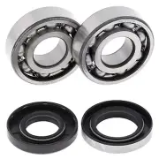 Suzuki TS100, 1973-1977, Crankshaft Bearings & Seal Kit - Crank Shaft - TS 100