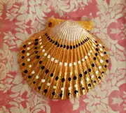 *SALE* Shell Art Hand Painted Scallop Shell Pearls & Dot Dish, Gold Trim-New