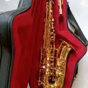 High Quality 54 Saxophone Brand New Alto Saxophone Professional Instrument --