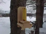 Squirrel Picnic Table Feeder with Corn Holder Handmade Cedar