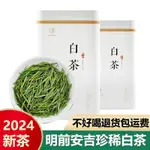 安吉珍稀白茶2024新茶明前一級特級正宗規格綠茶特小包裝