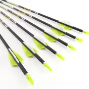 Archery Spine Carbon Arrow Shaft for Compound Recurve Bow Longbow Hunting Target