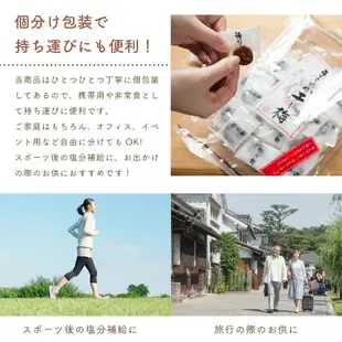 博屋 梅乾 300g × 1包 單獨包裝 無籽梅干 圓潤梅干 梅干 常溫保存 夾鏈袋裝 日本必買 | 日本樂天熱銷