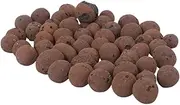 TOVINANNA 1 Ceramsite Succulent for Indoor Plants Succulent Rocks Small Ceramsite Ceramic Planter Filler Balls Stone for Succulent The Rock Clay Stone Juicy Ceramsite Ball
