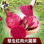 鮮食堂 草生紅肉火龍果1/2盒組(5斤/箱) 皮薄肉飽 汁豐味美 甜而不膩 廠商直送