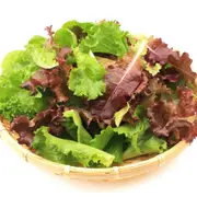 Lettuce - Heatwave Blend Mix seeds