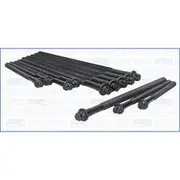 Austral Cylinder Head Bolt Set - 81029500