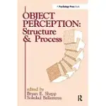 OBJECT PERCEPTION: STRUCTURE AND PROCESS