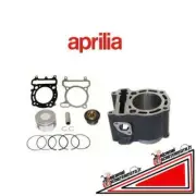 Cylinder 300 diameter 73 Aprilia Leonardo 250 - 300 MA00173