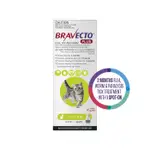 Bravecto Plus Flea, Tick & Worming Treatment 1.2-2.8kg Cat & Kitten 1pk