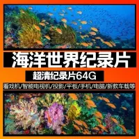 在飛比找蝦皮購物優惠-【臺灣熱款】海洋世界紀錄片兒童科普視頻海洋海底生物世界魚群珊