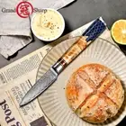 Paring Knife Kitchen Slicing Meat 67 Layers Damascus Steel Wood Resin Handle Cut