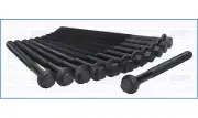 Cylinder Head Bolt Set VOLVO C70 TURBO 20V 2.3 240/250 B5234T (1996-)