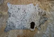 A Tri Salt and Pepper - A Lovely Mini HIde - A Tiny Cowhide with a big Impact