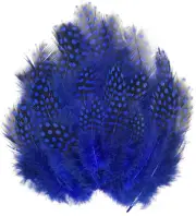Blue Craft Feathers Pheasant Feathers, 50 Pcs Small Spotted Feathers for Hats, 2