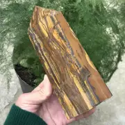 2.75LB Top Natural Tiger’s Eye Obelisk Quartz Wand Crystals Tower Reiki Healing