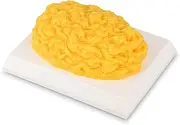 SimCoach Human Body Fat Replica 1 lb with Display Base, Keep Fit & Weight Loss Motivation & Reminder, Human Fatty Tissue Demonstration Model for Nutritionist