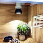 LED Reptile Light Turtle Basking Platform Full Spectrum Sunbathe Heat Lamp E27
