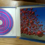 二手正版CD唱片 小紅莓合唱團 THE CRANBERRIES 野人花園 SAVAGE GARDEN