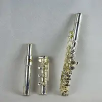 在飛比找Yahoo!奇摩拍賣優惠-現貨艾舍倫斯標準型閉孔長笛純銀笛頭成人考級專業長笛樂器ASF