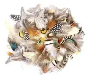 Natural Pheasant Peacock Feathers for Crafts Making Jewelry Costume Decor Q C7E9