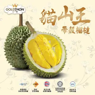 【Gold Thon】馬來西亞液態氮貓山王帶殼榴槤A果1.8-2.3KG*5顆(液態氮帶殼貓山王)