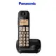 Panasonic 國際牌 DECT數位無線電話 KX-TGE110TWB