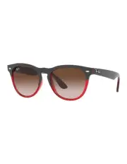 [Ray-Ban] IRIS Sunglasses In Black