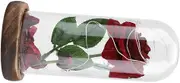 LED Light Preserved Rose Flower with Glass Cover Wooden Base Valentines Day Wedding (Red)
