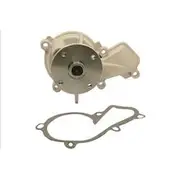 INA Water Pump - 538089510