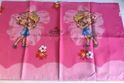 2 Strawberry Shortcake Pillowcases