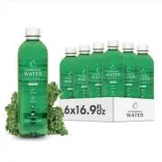– Liquid Chlorophyll 6-Pack (16.9oz) | Beauty Drink for Glowing Skin, Anti-Ag...