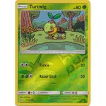 【小瓜瓜的家】 POKEMON TCG 寶可夢 SM5 TURTWIG PTCG 外閃