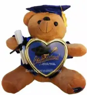 Graduation Teddy Bear 11" tall w/ Cap & Gown diploma heart picture frame BLUE