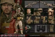 DAMTOYS DAM 1/6 78084 Operation Red Wing Navy Seals Action Figure IN STOCK