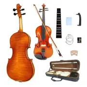 Advance 4 String Violin Kit 4/4 Full Size Ebony Fittings For Beginner Handmade