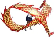 Dragon Dance Silk 10M/33FT Red Dragon Poi Golden Scale Dragon Dance Ribbon Chinese Traditional Folk Extra Long Gymnastic Ribbon Practice Streamer for Outdoor Fitness Sports