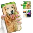 ( For iPhone 16 Plus ) Wallet Flip Case Cover PH26209 Golden Retriever Dog