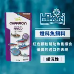 HIKARI 高夠力 燈科魚飼料 燈魚 小型魚 四間 米老鼠魚 紅蓮燈 三角燈