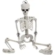 NNEOBA Movable Halloween Skeleton Human Bones Model