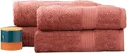 4pc Renee Taylor Stella Bath Sheet/Towel 160cm Soft Bamboo Cotton 650 GSM Brick