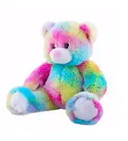 Cuddly Soft 16 inch Stuffed Rainbow Bear - We stuff 'em...you love 'em! - Bear F