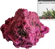Aquarium Stones - Room Diffuser Stone - Mineral Specimens Garden Decoration for Indoor Display Study Bedroom Living Room Patio Desktop Plant Pot Home Collection