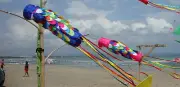 Bali Flag Wind Sock Various Colours