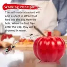 Fruit Fly and Fungus Gnat Sticky Catcher Insect Trap for Indoor Outdoor C
