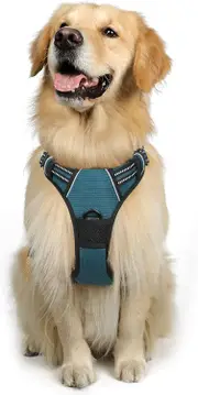 Dog Harness No Pull Pet Harness XL Teal